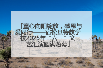 童心向阳绽放，感恩与爱同行——宿松县特教学校2025年“六一”文艺汇演圆满落幕