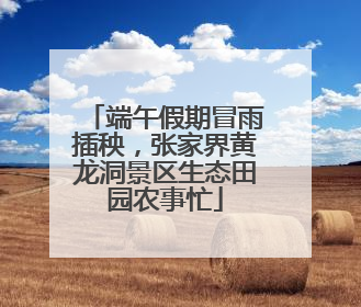 端午假期冒雨插秧，张家界黄龙洞景区生态田园农事忙