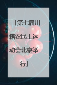 第七届川籍农民工运动会北京举行