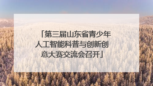 第三届山东省青少年人工智能科普与创新创意大赛交流会召开