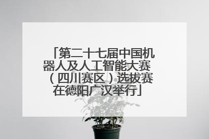 第二十七届中国机器人及人工智能大赛（四川赛区）选拔赛在德阳广汉举行