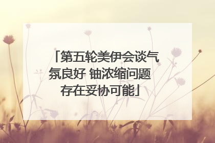 第五轮美伊会谈气氛良好 铀浓缩问题存在妥协可能