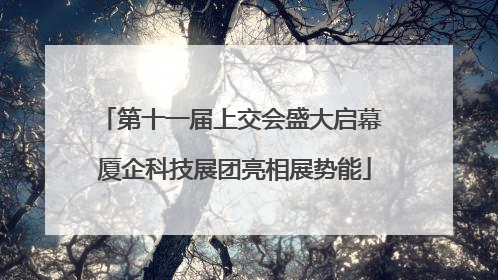 第十一届上交会盛大启幕 厦企科技展团亮相展势能