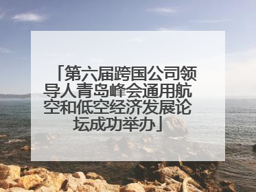 第六届跨国公司领导人青岛峰会通用航空和低空经济发展论坛成功举办