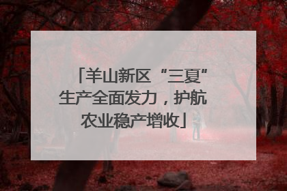 羊山新区“三夏”生产全面发力，护航农业稳产增收