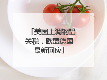美国上调钢铝关税，欧盟德国最新回应