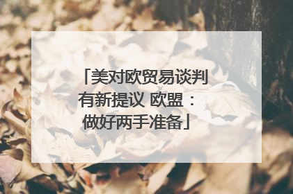 美对欧贸易谈判有新提议 欧盟：做好两手准备