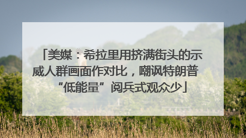 美媒：希拉里用挤满街头的示威人群画面作对比，嘲讽特朗普“低能量”阅兵式观众少