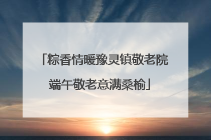 粽香情暖豫灵镇敬老院 端午敬老意满桑榆