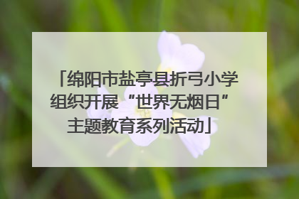 绵阳市盐亭县折弓小学组织开展“世界无烟日”主题教育系列活动
