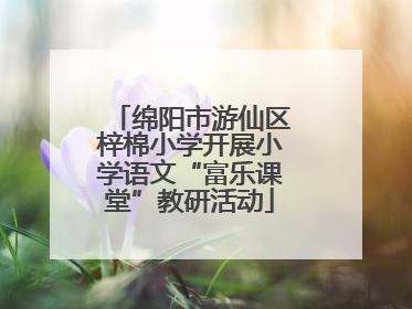 绵阳市游仙区梓棉小学开展小学语文“富乐课堂”教研活动