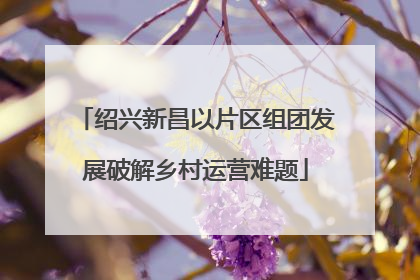 绍兴新昌以片区组团发展破解乡村运营难题