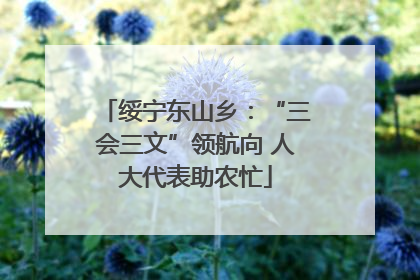 绥宁东山乡：“三会三文”领航向 人大代表助农忙