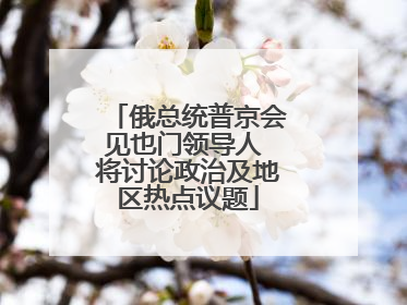 俄总统普京会见也门领导人 将讨论政治及地区热点议题