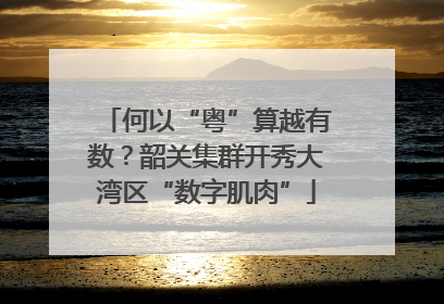 何以“粤”算越有数？韶关集群开秀大湾区“数字肌肉”