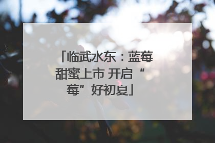 临武水东：蓝莓甜蜜上市 开启“莓”好初夏