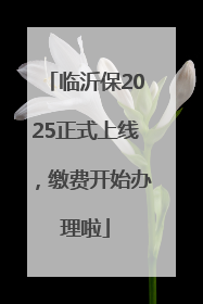 临沂保2025正式上线，缴费开始办理啦