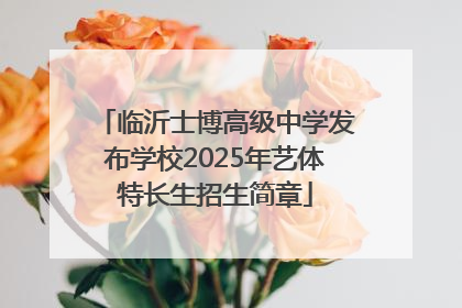 临沂士博高级中学发布学校2025年艺体特长生招生简章