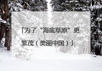 为了“海底草原”更繁茂（美丽中国）