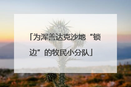 为浑善达克沙地“锁边”的牧民小分队