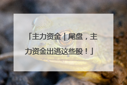 主力资金｜尾盘，主力资金出逃这些股！