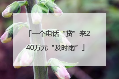 一个电话“贷”来240万元“及时雨”