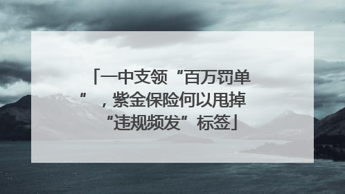 一中支领“百万罚单”，紫金保险何以甩掉“违规频发”标签