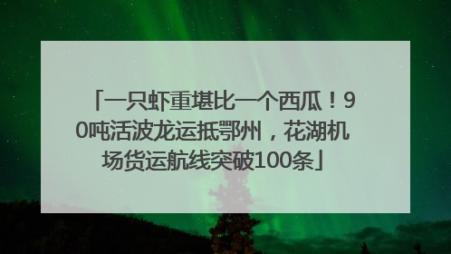 一只虾重堪比一个西瓜！90吨活波龙运抵鄂州，花湖机场货运航线突破100条