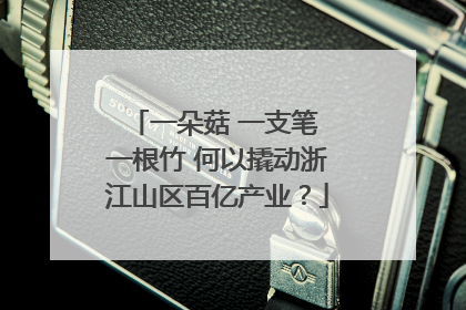一朵菇 一支笔 一根竹 何以撬动浙江山区百亿产业？