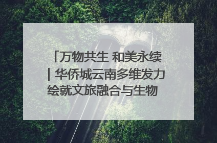 万物共生 和美永续｜华侨城云南多维发力 绘就文旅融合与生物多样性保护新图景