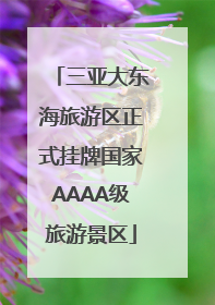 三亚大东海旅游区正式挂牌国家AAAA级旅游景区