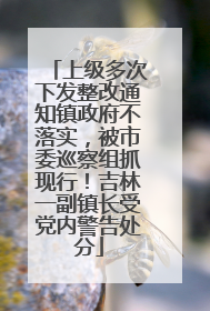 上级多次下发整改通知镇政府不落实，被市委巡察组抓现行！吉林一副镇长受党内警告处分
