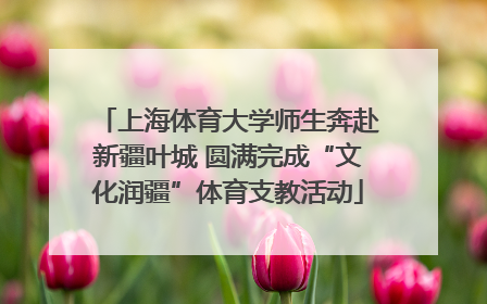 上海体育大学师生奔赴新疆叶城 圆满完成“文化润疆”体育支教活动