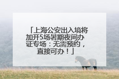 上海公安出入境将加开5场暑期夜间办证专场：无需预约，直接可办！