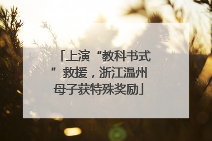 上演“教科书式”救援，浙江温州母子获特殊奖励