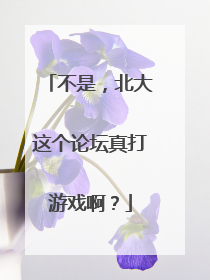 不是，北大这个论坛真打游戏啊？
