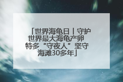 世界海龟日丨守护世界最大海龟产卵 特多“守夜人”坚守海滩30多年