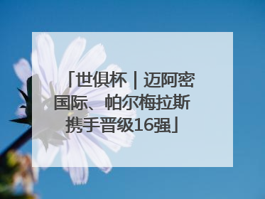 世俱杯｜迈阿密国际、帕尔梅拉斯携手晋级16强