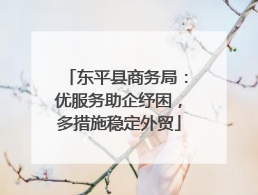 东平县商务局：优服务助企纾困，多措施稳定外贸