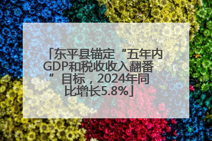 东平县锚定“五年内GDP和税收收入翻番”目标，2024年同比增长5.8%