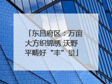 东昌府区：万亩大方织锦绣 沃野平畴好“丰”景