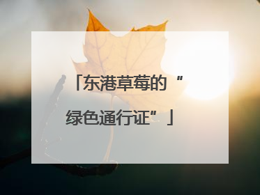 东港草莓的“绿色通行证”