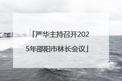 严华主持召开2025年邵阳市林长会议