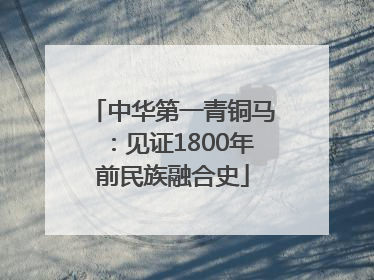 中华第一青铜马：见证1800年前民族融合史
