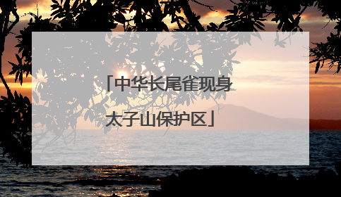 中华长尾雀现身太子山保护区