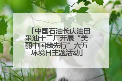 中国石油长庆油田采油十二厂开展“美丽中国我先行”六五环境日主题活动