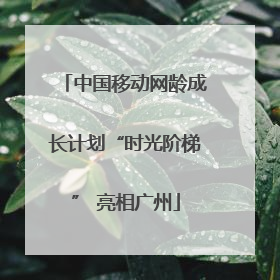 中国移动网龄成长计划“时光阶梯” 亮相广州
