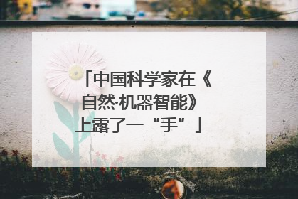 中国科学家在《自然·机器智能》上露了一“手”
