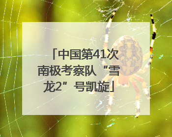 中国第41次南极考察队“雪龙2”号凯旋