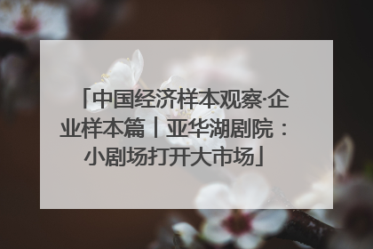 中国经济样本观察·企业样本篇︱亚华湖剧院：小剧场打开大市场